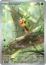 Chespin 087/086 Illustration Rare from Chaos Rising