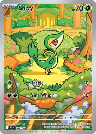 Snivy 087/086 Illustration Rare from Black Bolt